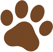 Paw
